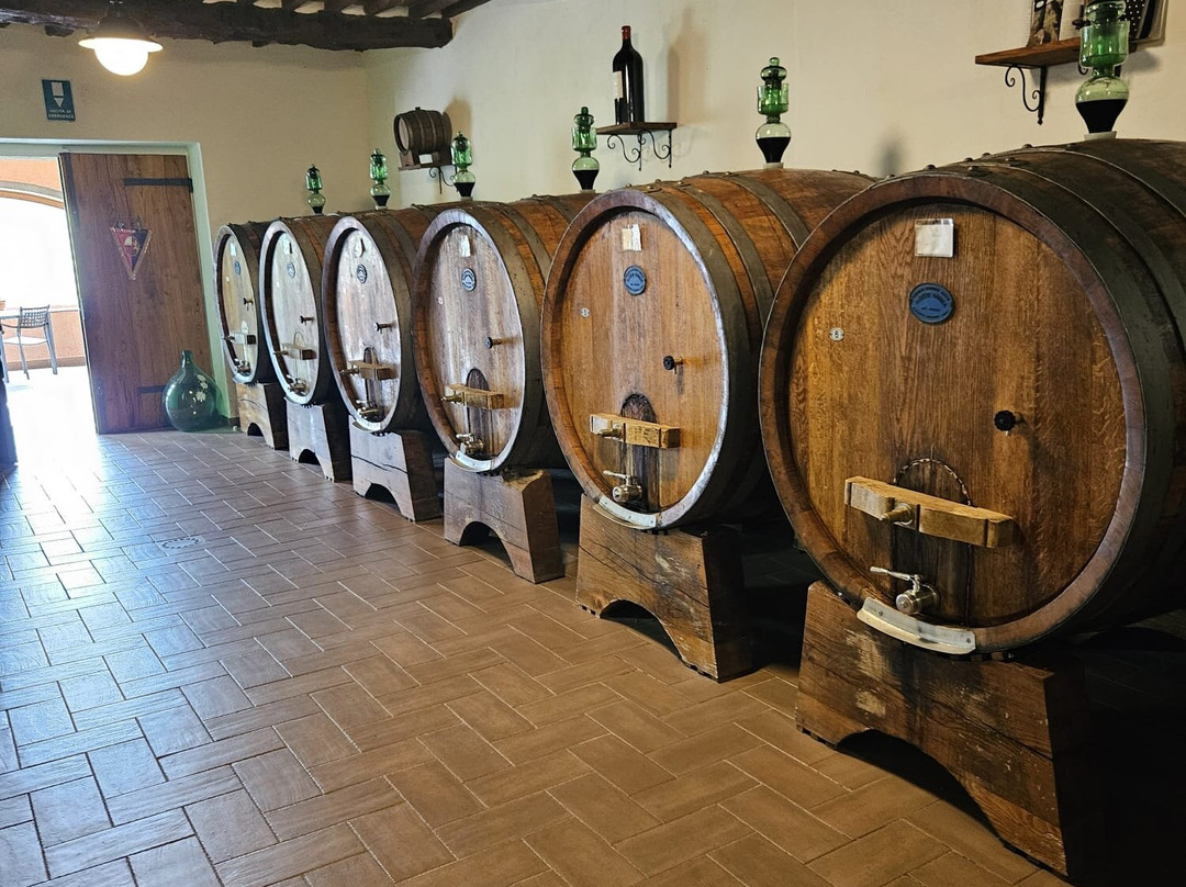Tenuta Adamo Winery-卢卡必去景点