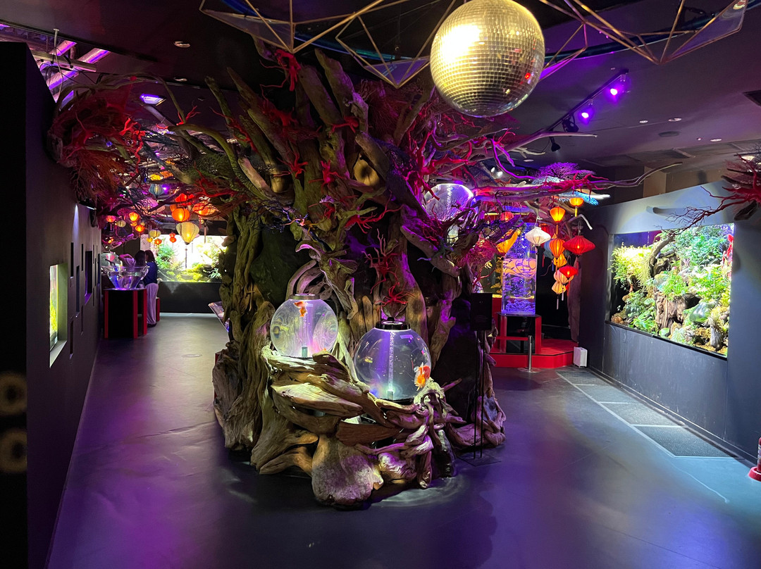 Uws Aquarium Ga Kyo