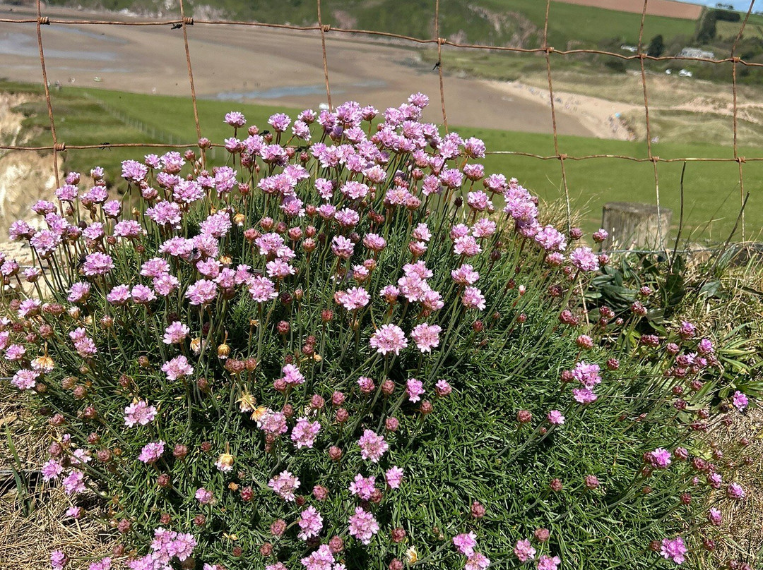 Thurlestone Golf Club-Thurlestone必去景点