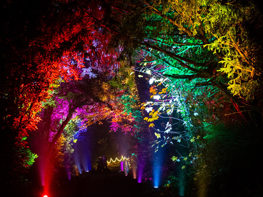 Light Up Trails-罗姆西必去景点