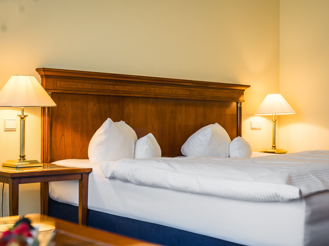 Hotel Villa Geyerswörth主图