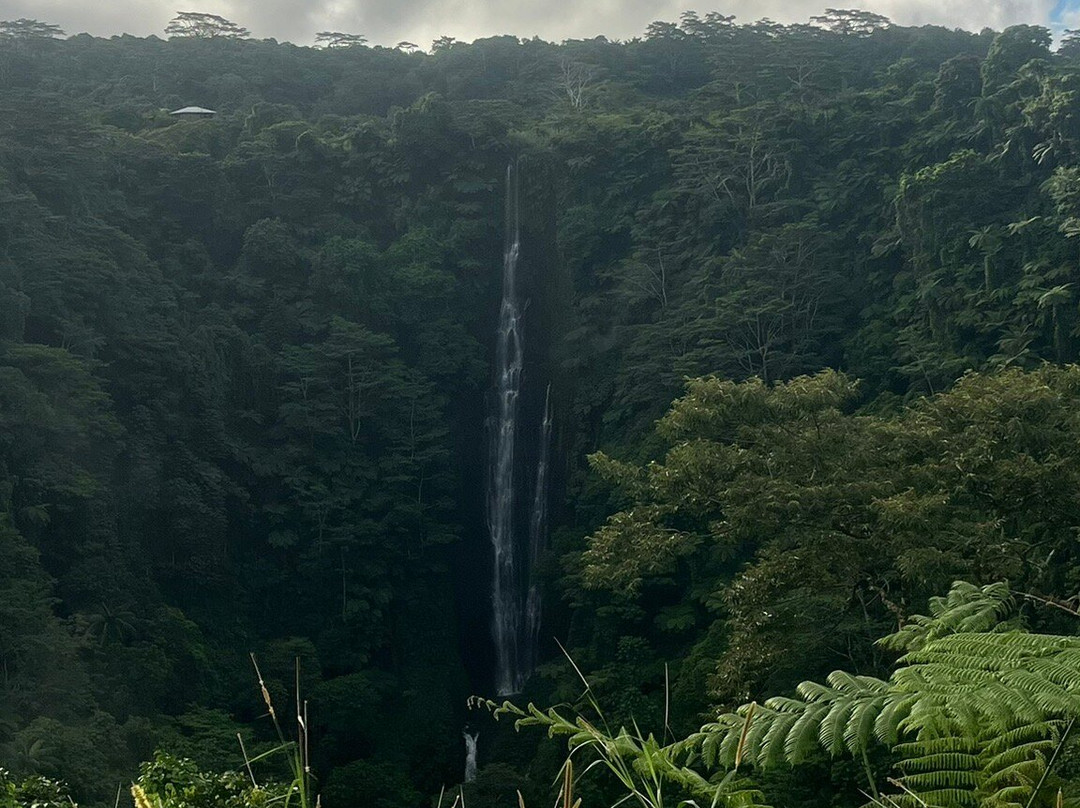 Papapapaitai Falls-阿皮亚必去景点