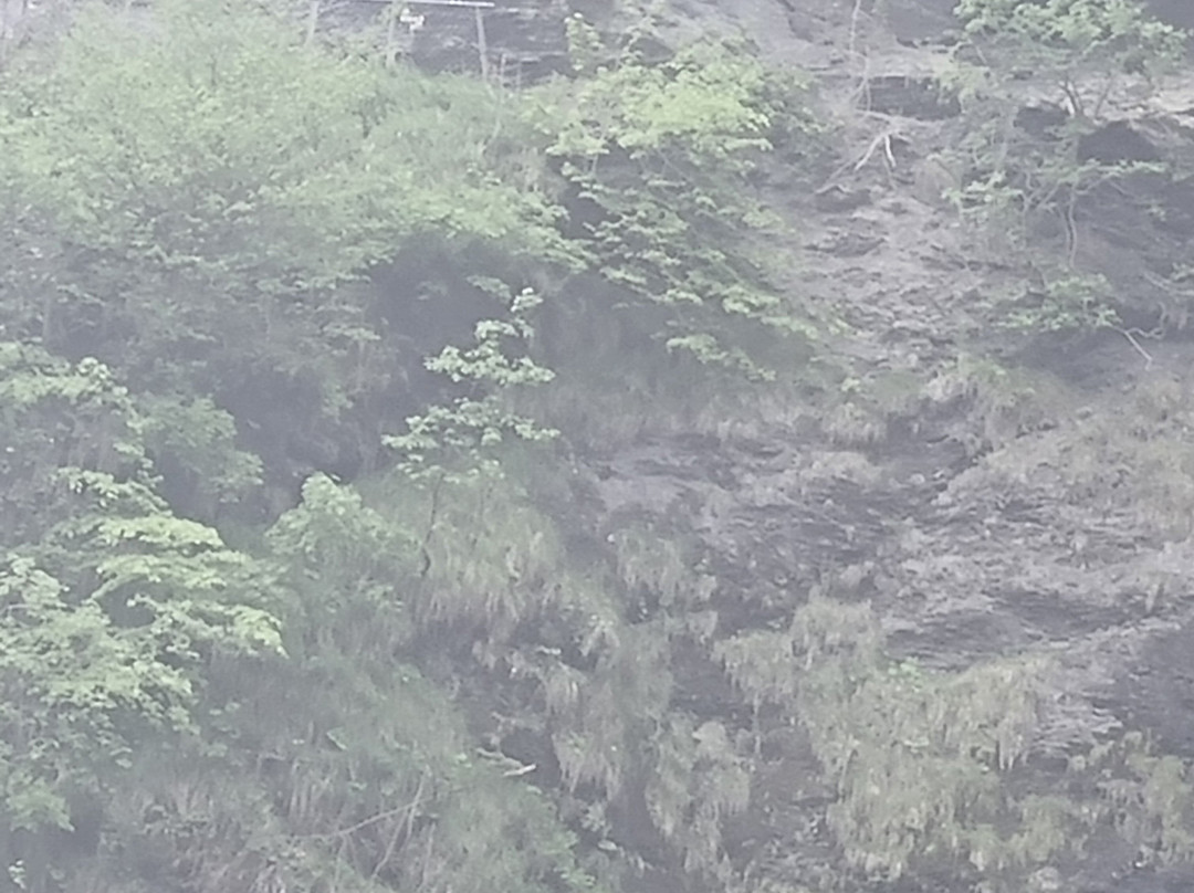 Reichenbach Waterfall-Meiringen必去景点