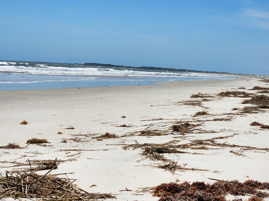 Cumberland Island National Seashore-St. Marys必去景点