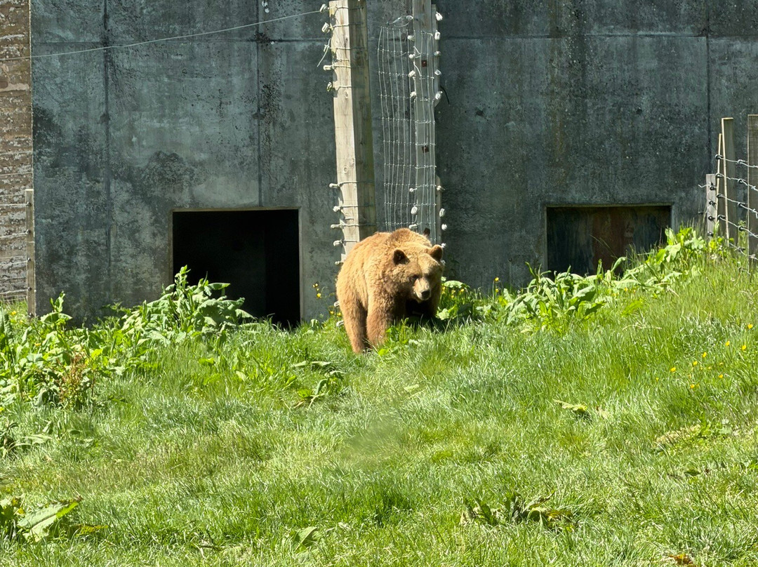 Camperdown Wildlife Centre-敦提必去景点