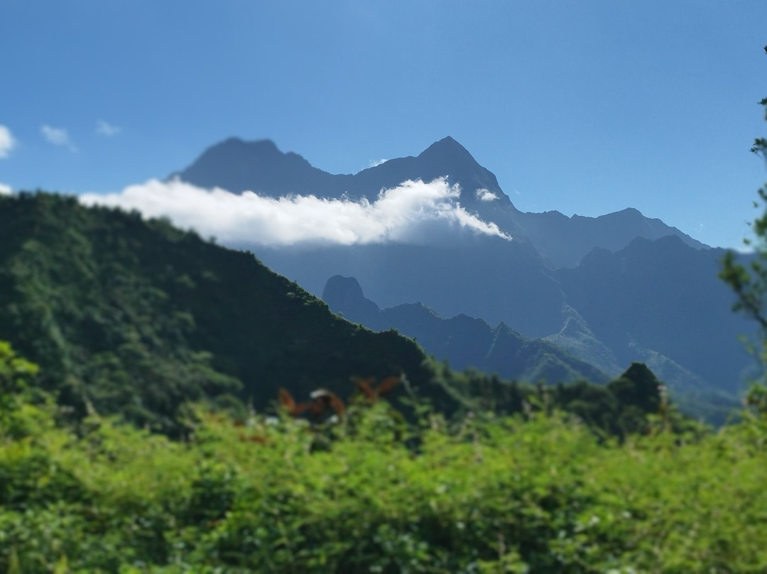 Marama Safari 4x4-法阿必去景点