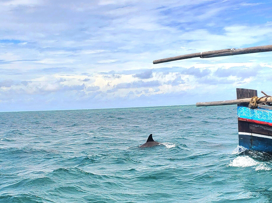 Wasini sea safaris-Wasini Island必去景点