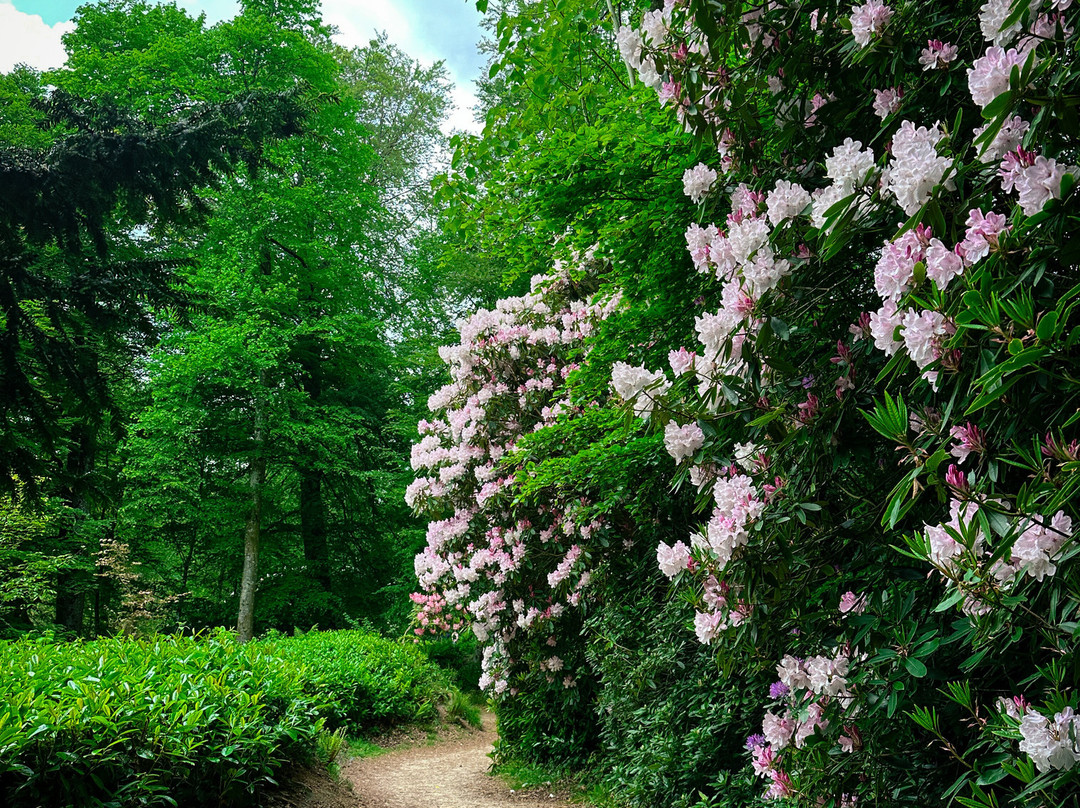 Stourhead-Stourton必去景点