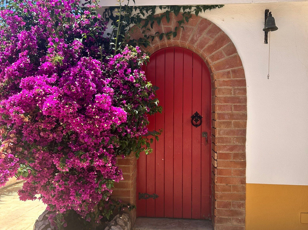 Villa Alvor - Wine & Tourism-阿沃必去景点