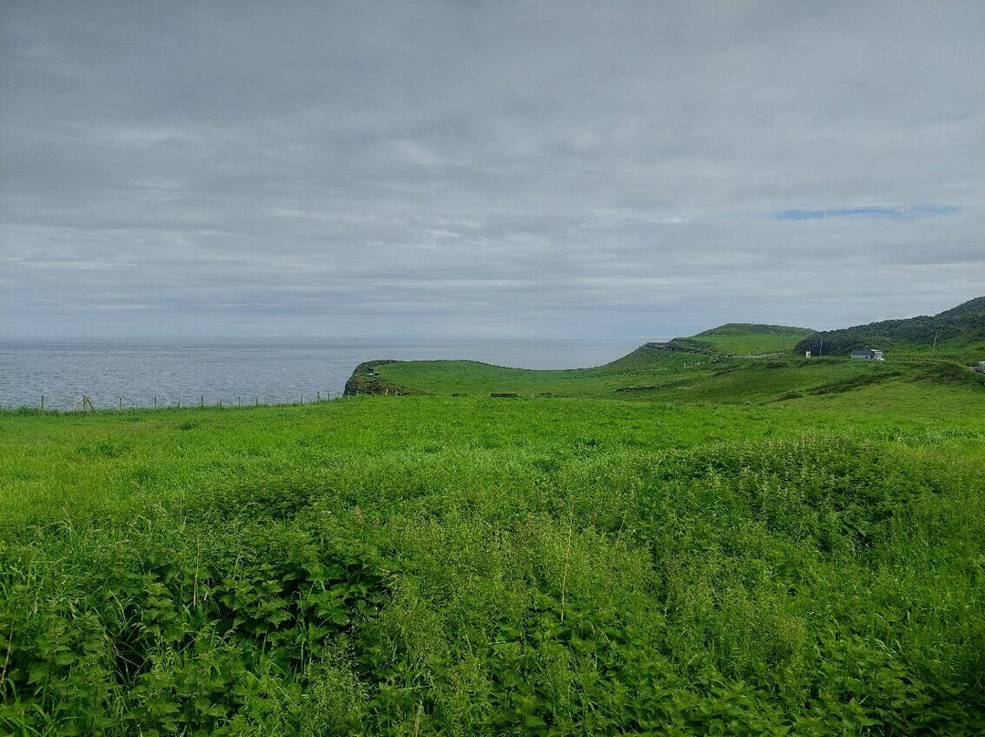 Dunluce Castle-波特拉什必去景点