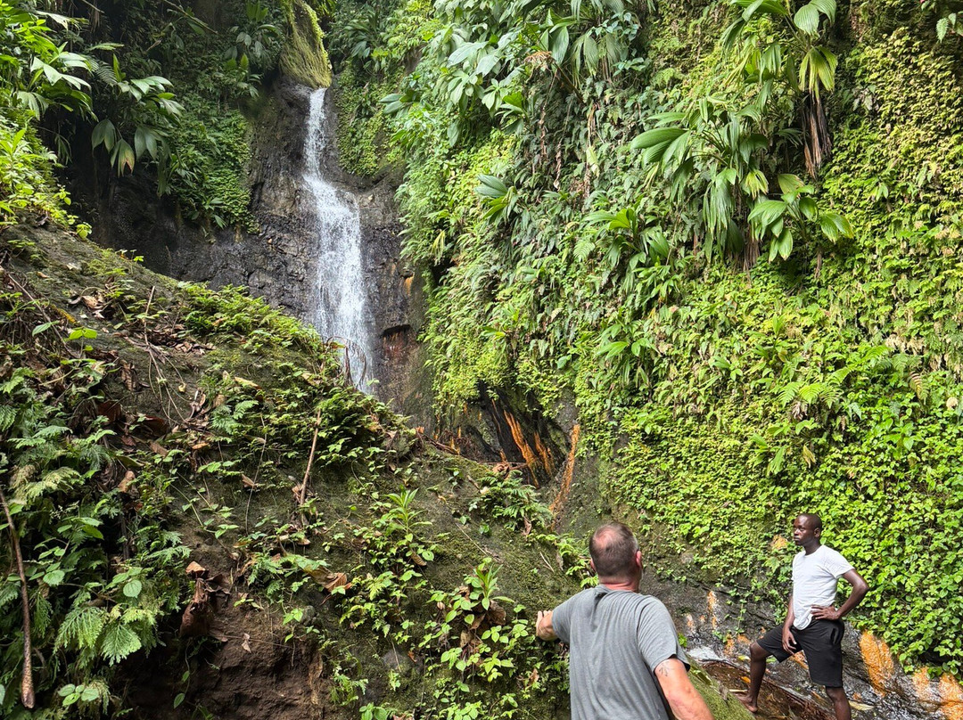 Seven Sisters Waterfalls Grenada-Grand Etang National Park必去景点