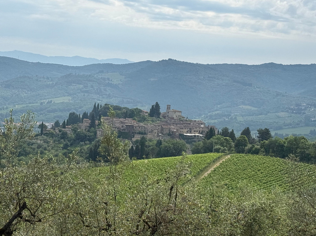 Scenic wine tours in Tuscany-Loro Ciuffenna必去景点