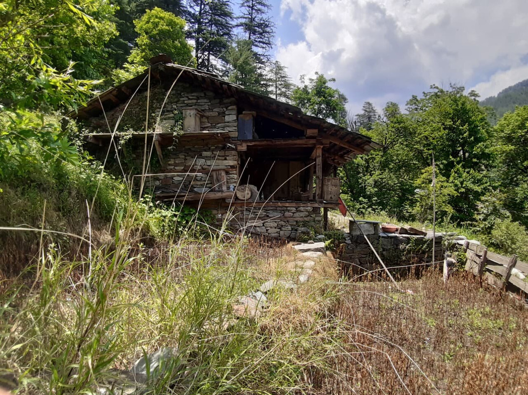 Malhotra Home Stay Barot Valley