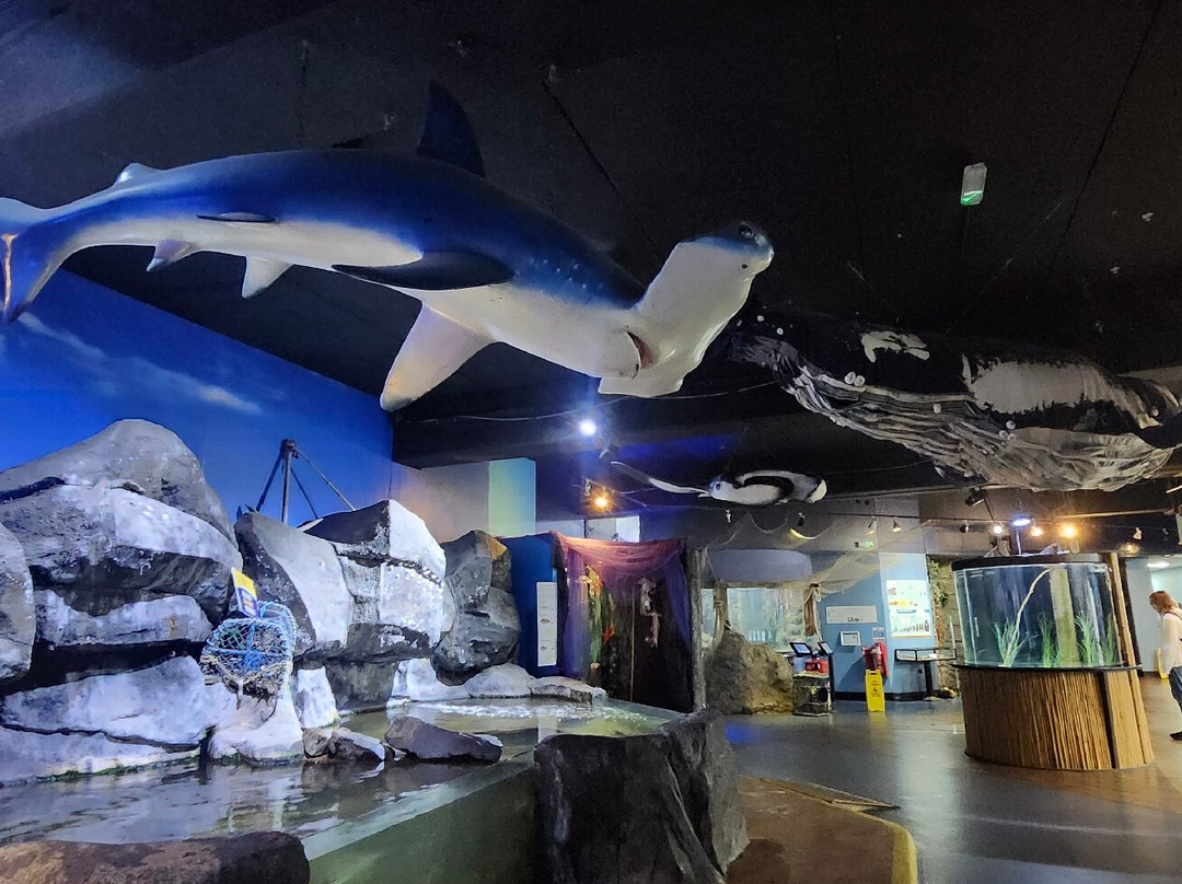 Deep Sea World-北昆斯费里必去景点