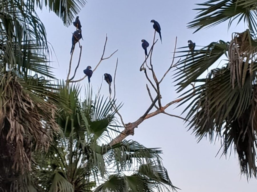 Hotel Sesc Porto Cercado主图