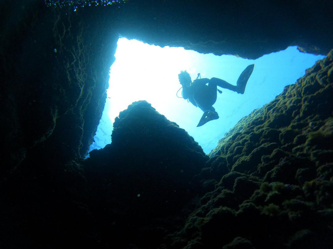 Blue Adventures Diving-干尼亚必去景点