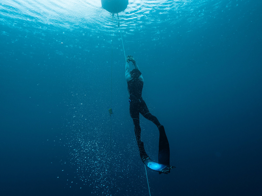 Ocean Bx Freediving-Mati必去景点