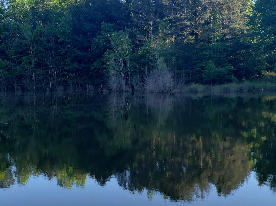 Clayton County International Park-Jonesboro必去景点