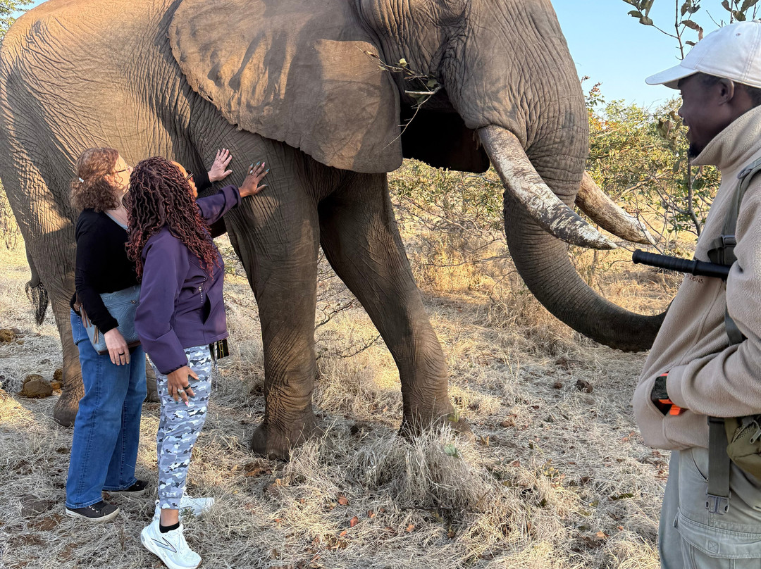 Wild Horizons Elephant Sanctuary-维多利亚瀑布必去景点