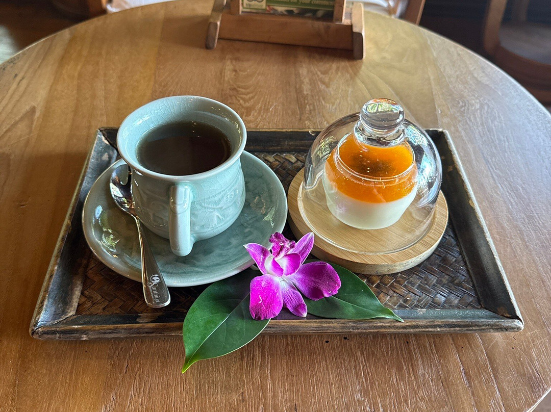 Ayurvana Spa-阁耀亚伊岛必去景点