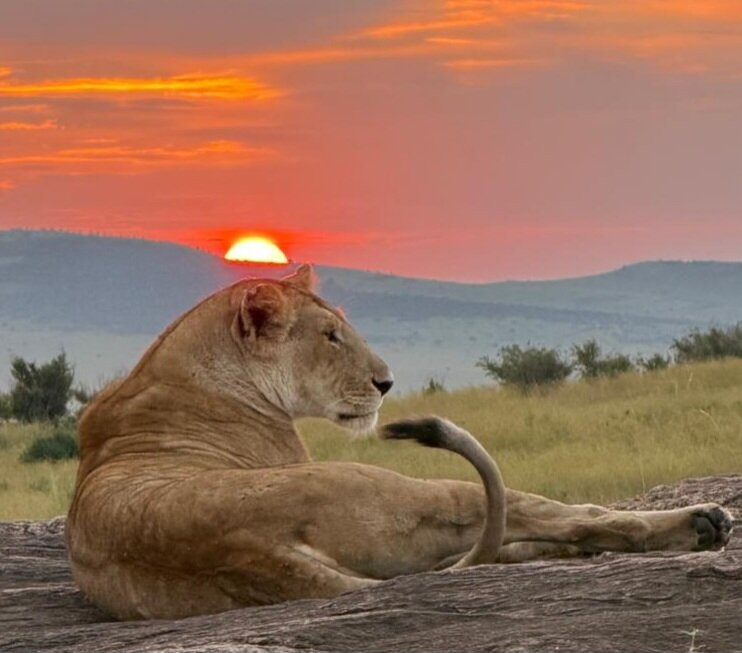 Amboseli National Park-Amboseli Eco-system必去景点
