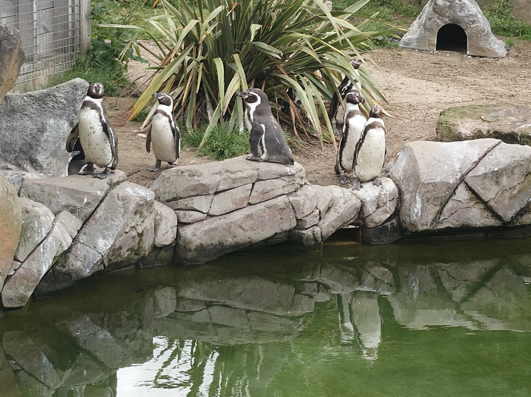 Peak Wildlife Park-Winkhill必去景点