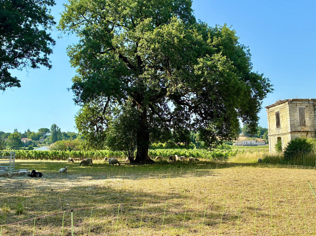 Chateau Boutinet-Villegouge必去景点