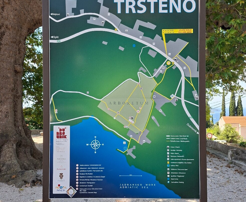 Trsteno Arboretum-特尔斯泰诺必去景点
