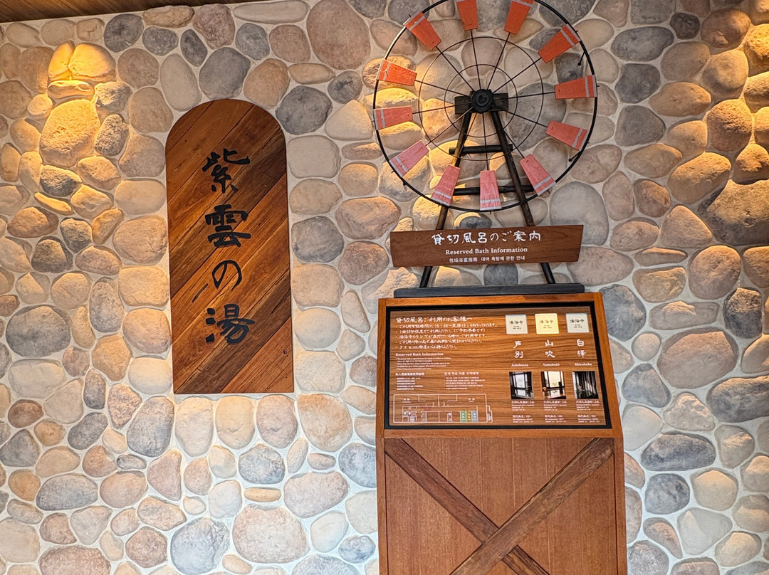 北海道富良野拉维斯塔天然温泉酒店(多美迎・御宿野乃 酒店集团)主图