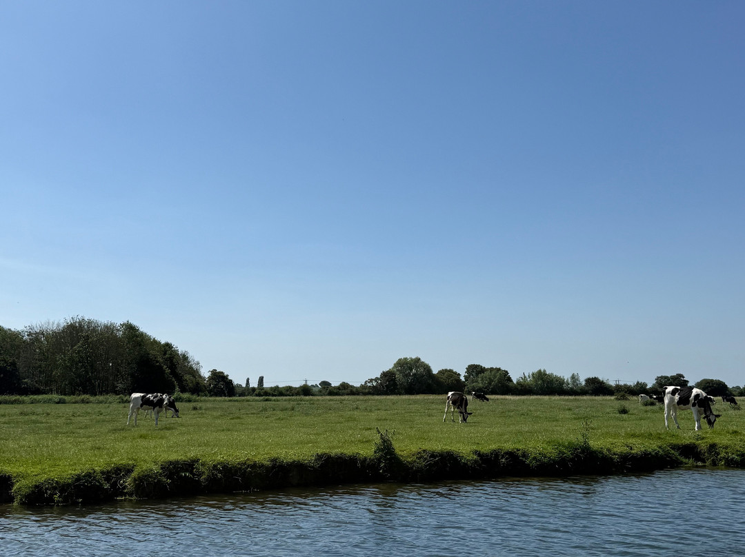 Cotswold Boat Hire Ltd-Buscot必去景点