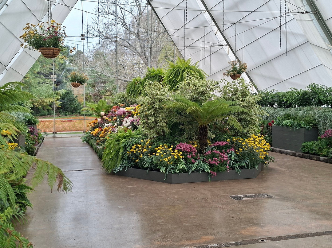 Ballarat Botanical Gardens-巴拉瑞特必去景点