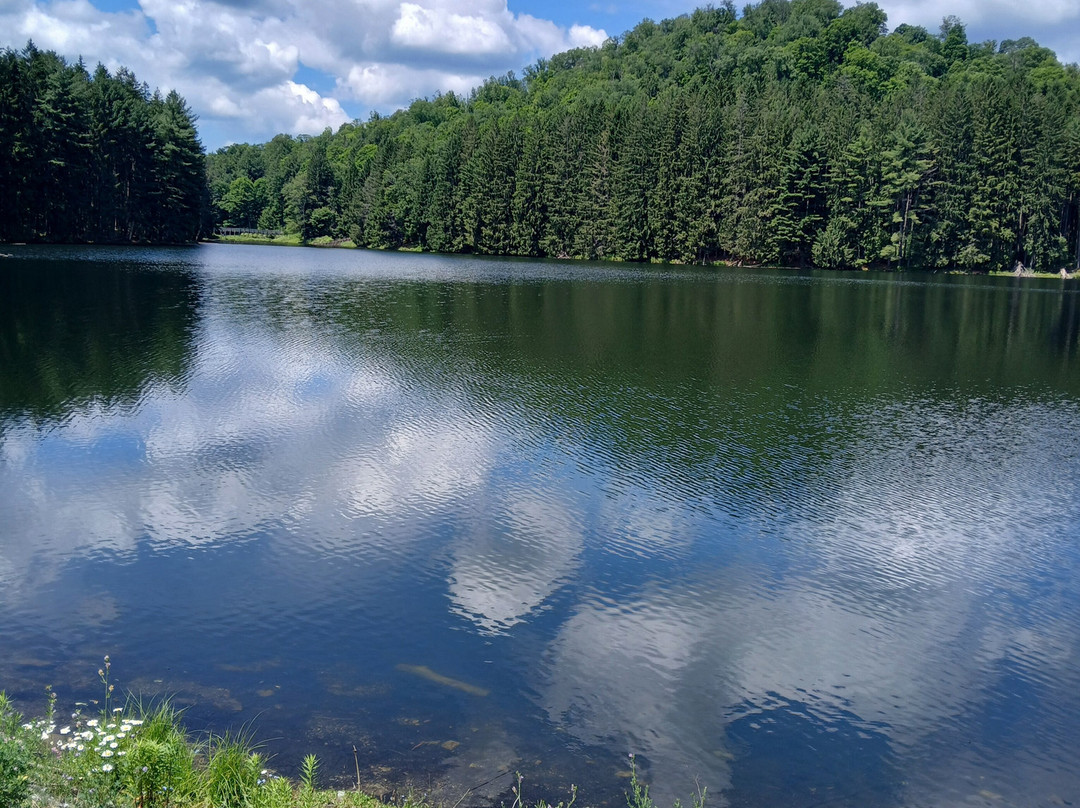 Marilla Bridges Trail-Bradford必去景点