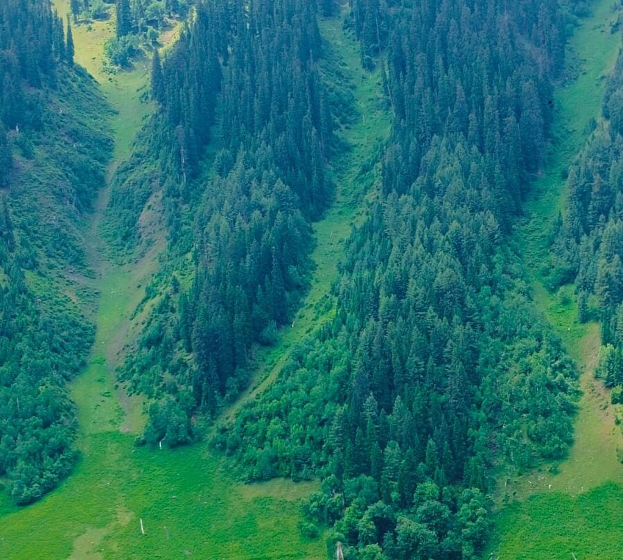 Sonamarg-Sonamarg必去景点