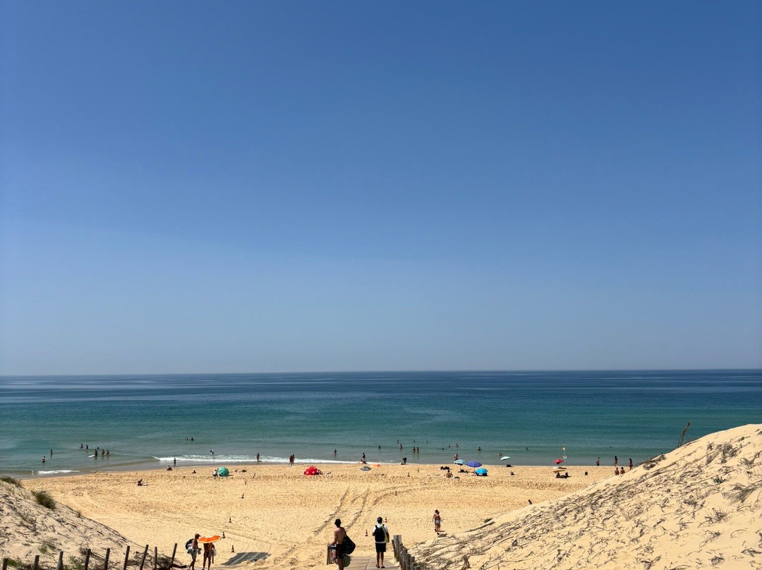 Plage de l'Horizon-Cap-Ferret必去景点