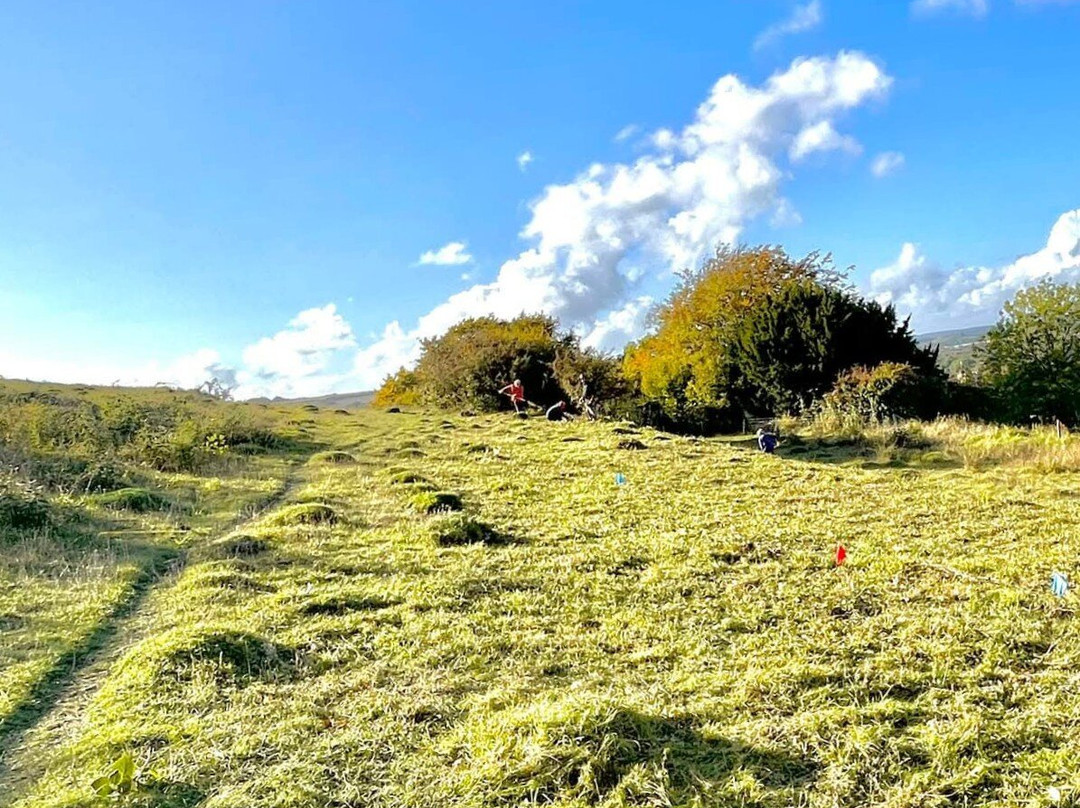 The Barton Hills National Nature Reserve-卢顿必去景点