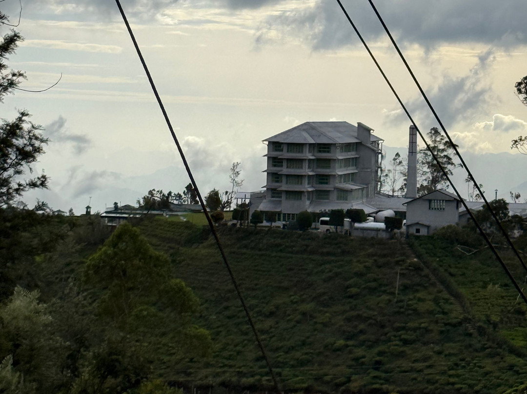 Ceylon Wavewalkers (Pvt) Ltd-哈顿必去景点