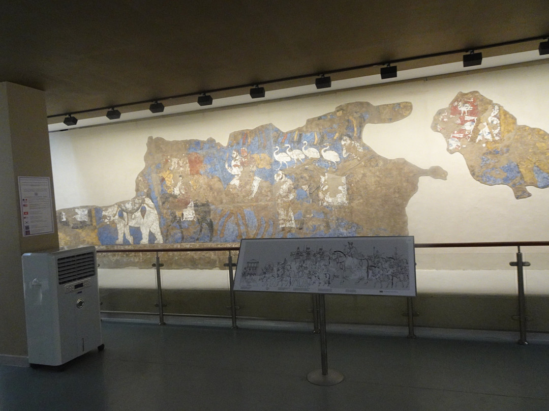 Afrasiyab Museum-撒马尔罕必去景点