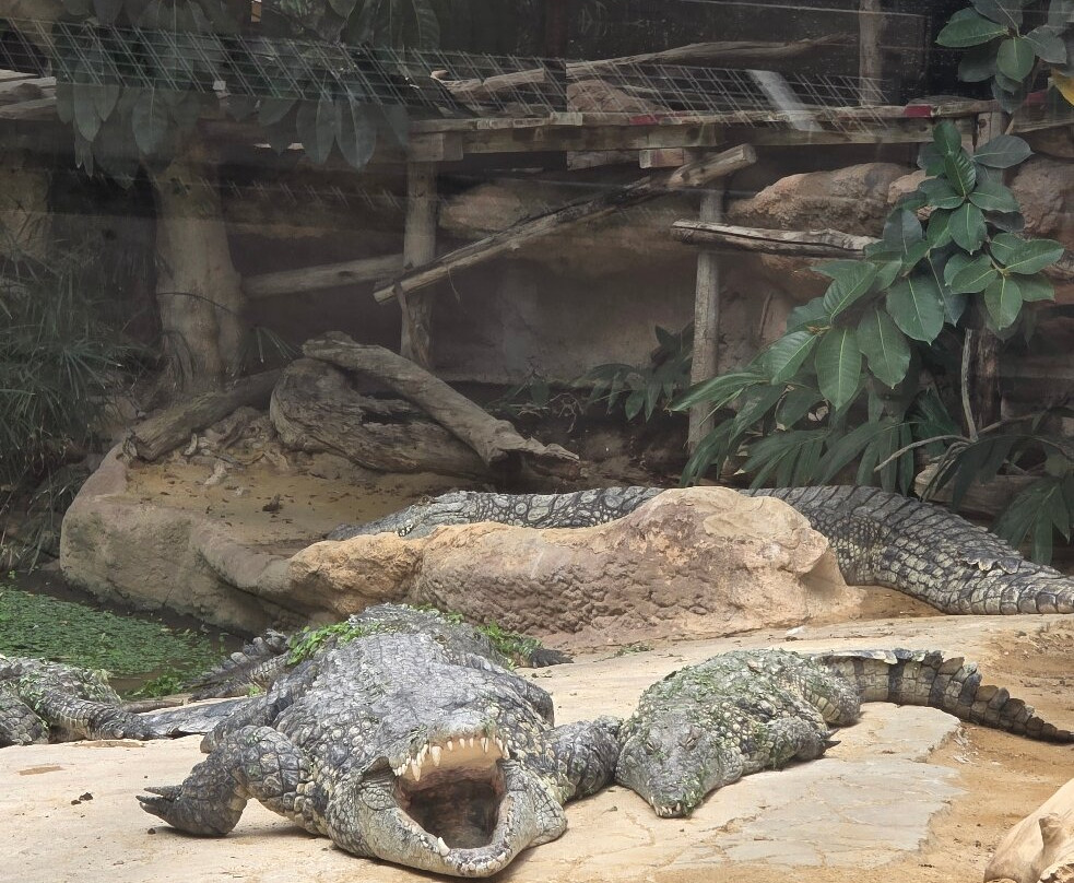 La Ferme Aux Crocodiles-Pierrelatte必去景点