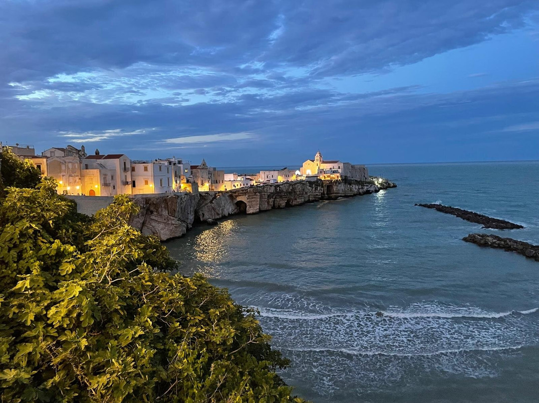 Borgo Antico Di Vieste-维耶斯泰必去景点