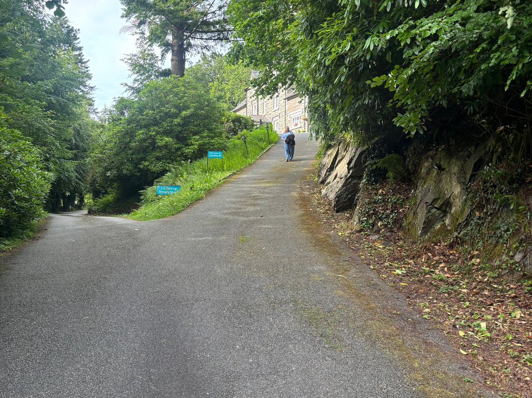 格林旺格住宿加早餐旅馆主图