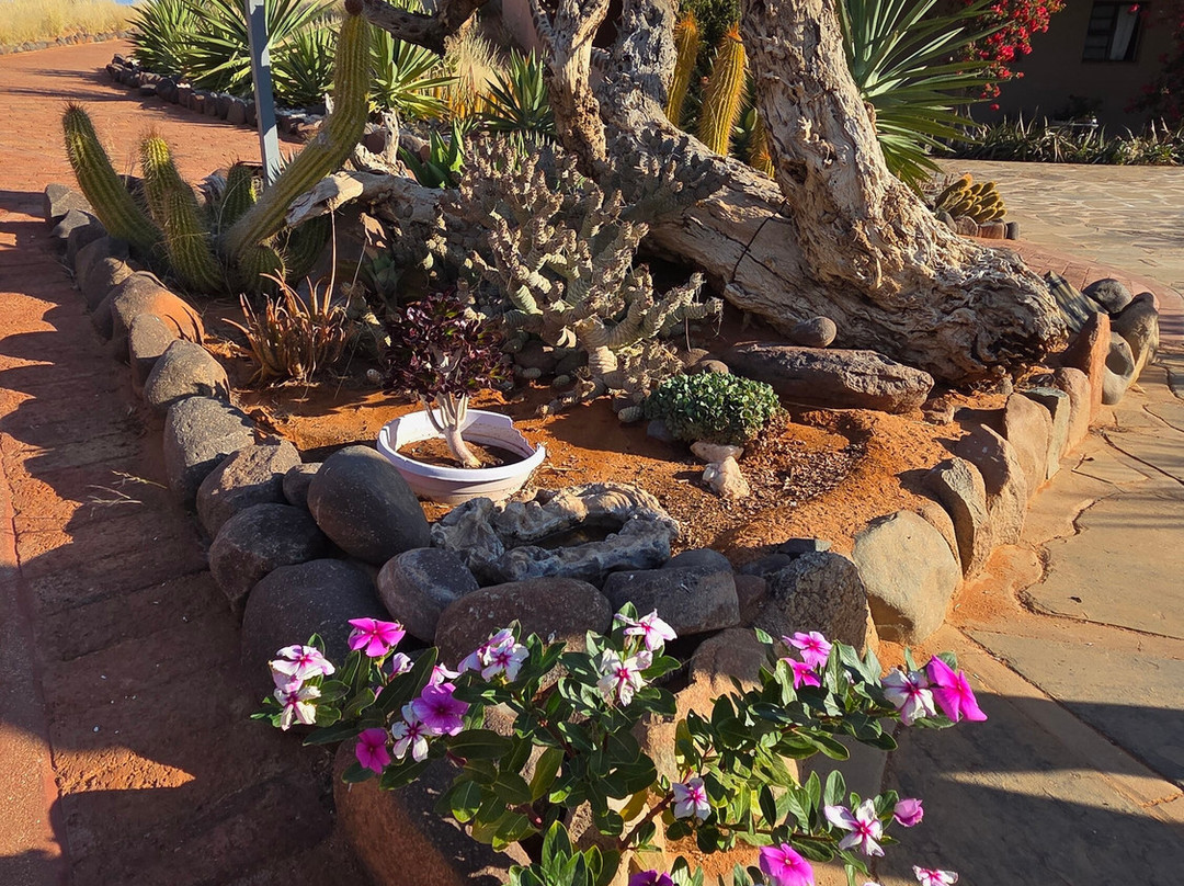 Barkhan Dune Retreat主图