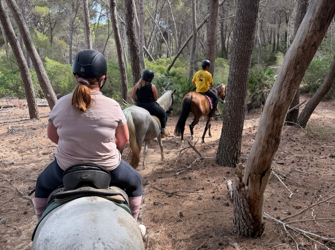 Hipico Cala Ratjada Eddi's Reitstall-Cala Ratjada必去景点