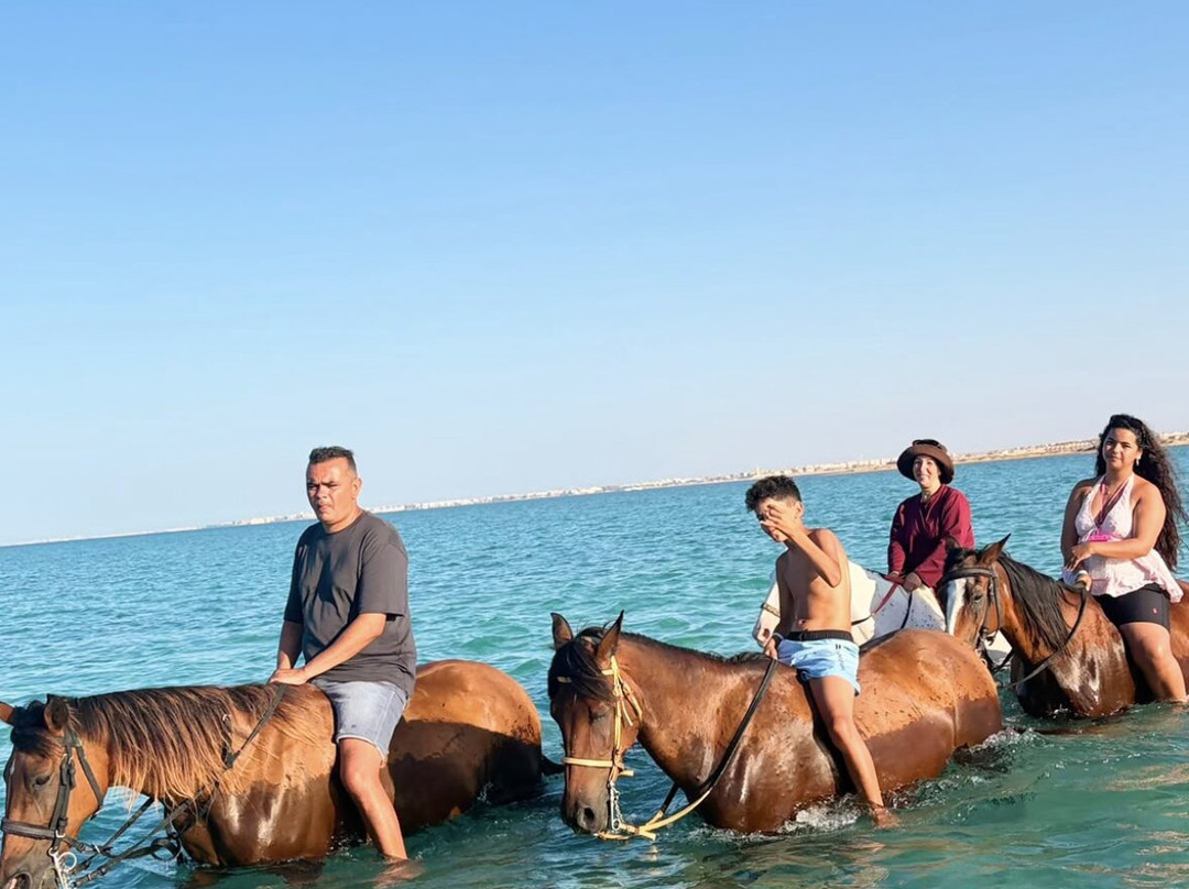 Horse Trips Egypt-Tunis必去景点