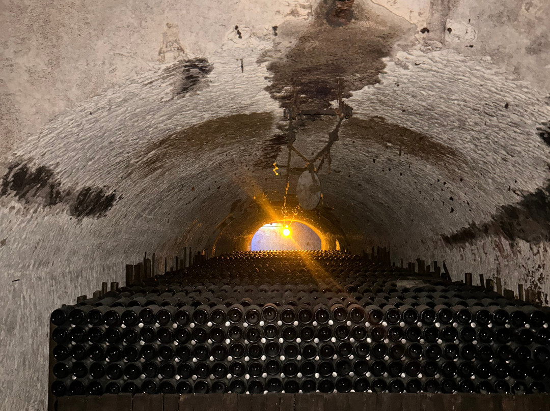 Vranken Pommery-兰斯必去景点