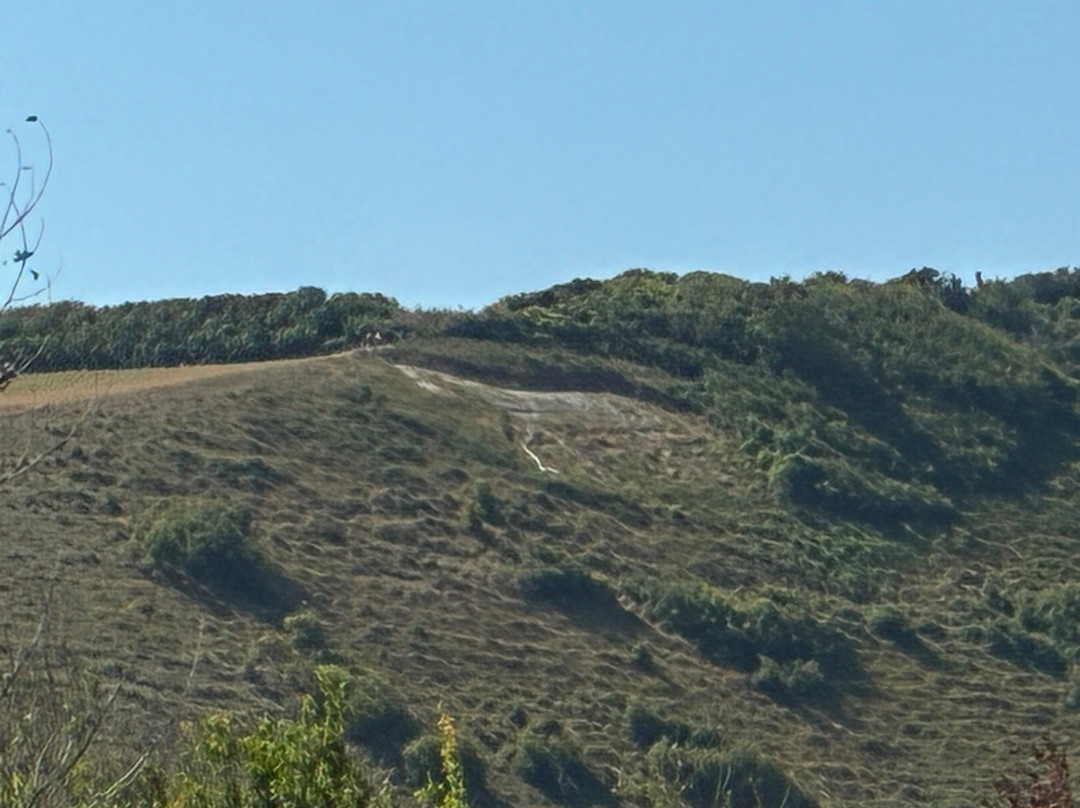 Litlington White Horse-西福德必去景点