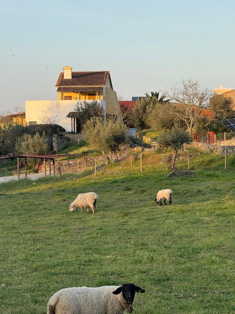 Quinta Serra De Sao Mamede-度假村/酒店
