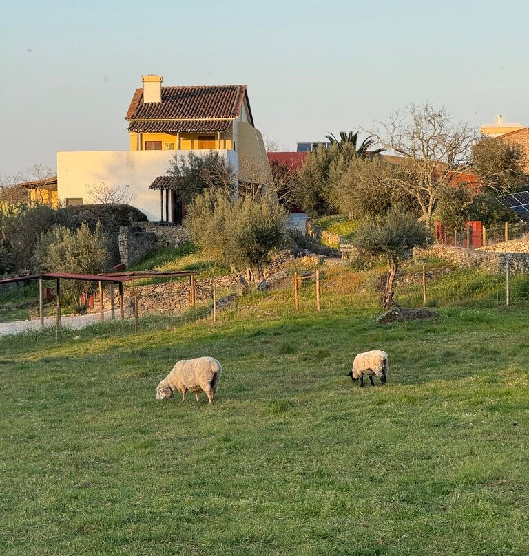 Quinta Serra De Sao Mamede主图
