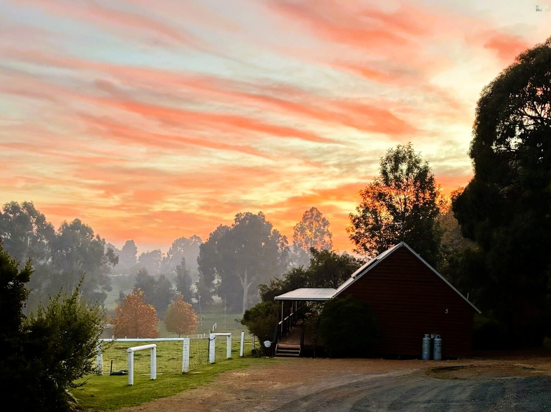 Sunnyhurst Chalets