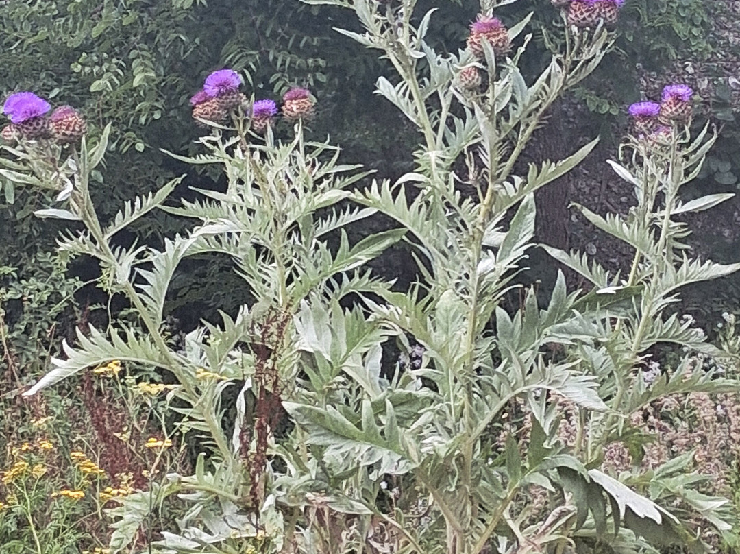 Kipling Gardens-Rottingdean必去景点