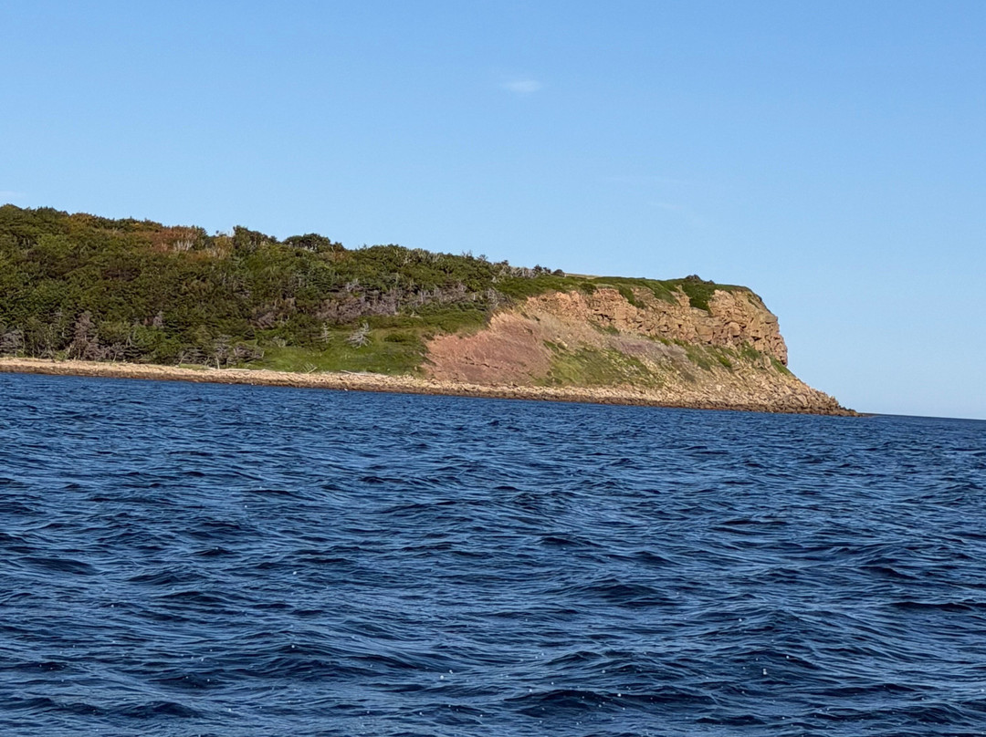 Captain Zodiac Whale Cruise-Cheticamp必去景点